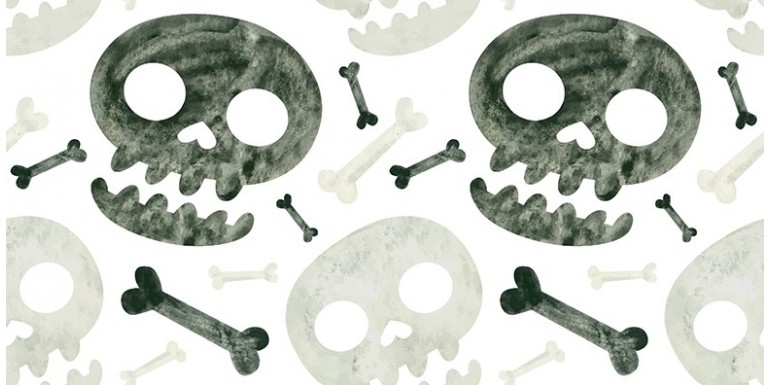Les sept crânes cachés de l'évolution humaine