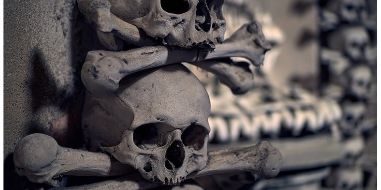 Pourquoi sommes-nous fascinés par les têtes de mort ?