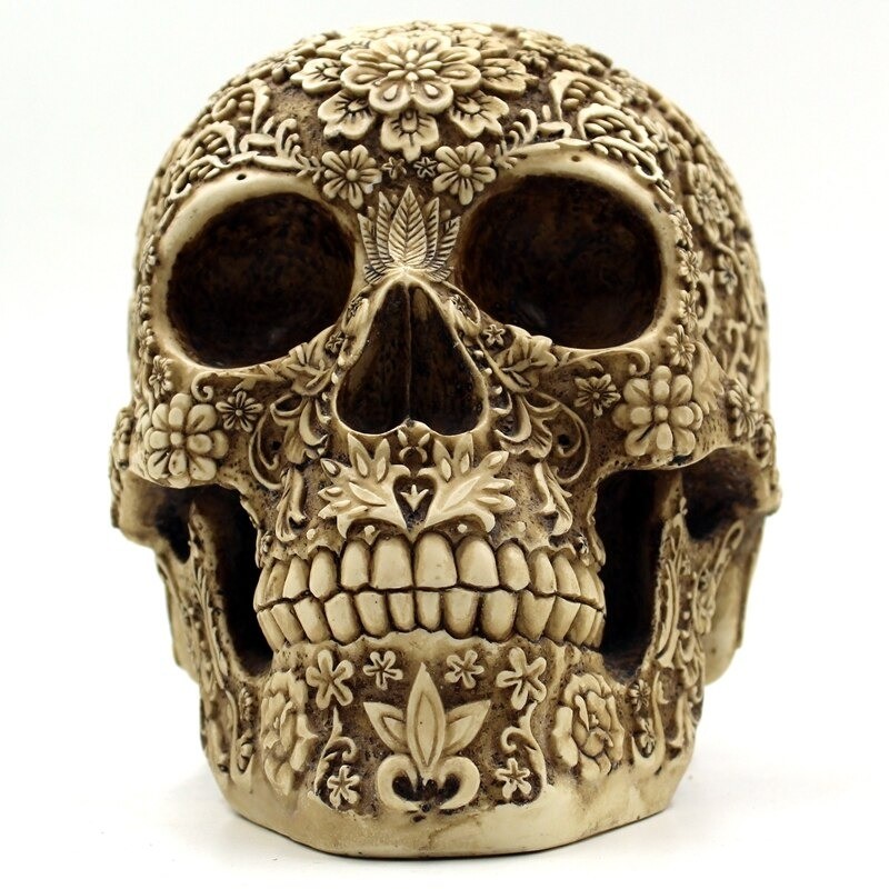Crâne humain en résine XL Repto deco - Habistat