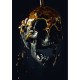 Poster tête de mort toile motif crâne en métal abstrait - modèle 6