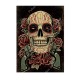 Plaque métal avec crâne Mexicain Jour des morts - modèle 13